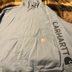 Carhartt light blue Loose Fit Hoodie